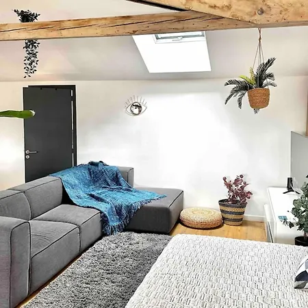 Appartement Skyline-vitton Loft72 Lyon